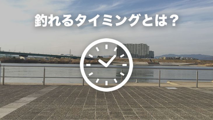 【初心者向け】淀川でブラックバスを釣る方法 -タイミング編-